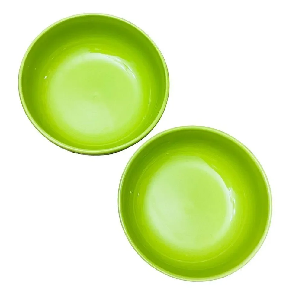 Pier 1 Hand Crafted Apple Green Ceramics Bowls Set Of two